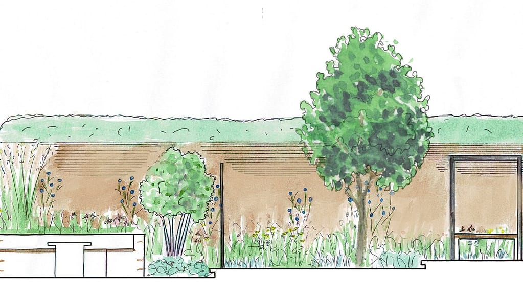 Cross section sketch of a family garden