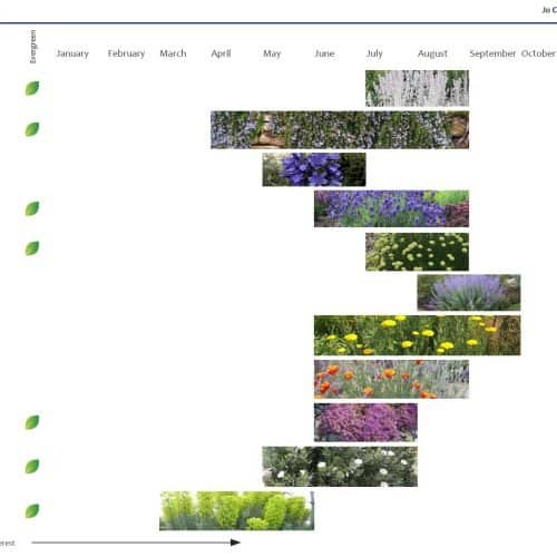 Planting palette seasonal progression